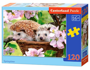 Castorland Children's Puzzle Springtime 120pcs 6+