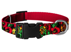 CHABA Adjustable Dog Collar Story XL 2.5cm, waikiki