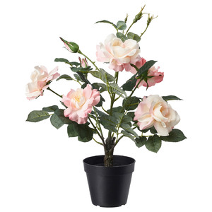 FEJKA Artificial potted plant, in/outdoor/Rose pink, 12 cm