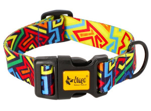 Dingo Adjustable Dog Collar City - Graffiti 2.0cm/45cm