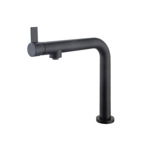 Cooke&Lewis Kitchen Mixer Tap Kishi Spout F, black