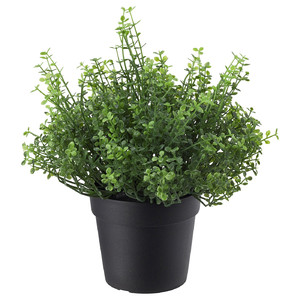 FEJKA Artificial potted plant, in/outdoor Baby’s tears, 9 cm