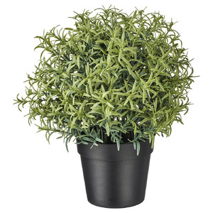 FEJKA Artificial potted plant, Rosemary, 9 cm