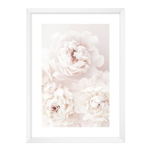 Picture White Peony 50 x 70 cm
