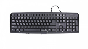 Standard Keyboard USB KB-U-103-RU (Russian)