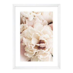 Picture Pink Peony 50 x 70 cm