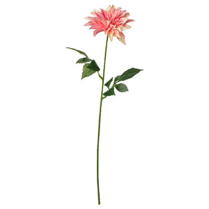 SMYCKA Artificial flower, in/outdoor Dahlia/pink, 65 cm