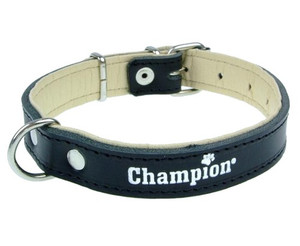 Champion Leather Collar 50/1.8, black