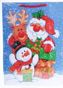Decorative Christmas Gift Bag, 23x32 cm, set