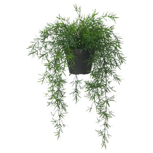 FEJKA Artificial potted plant, in/outdoor Asparagus/hanging, 12 cm