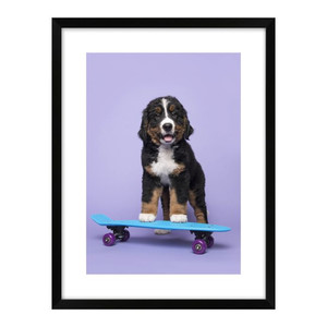 Picture Dog on a Skateboard 30 x 40 cm
