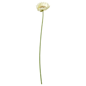 SMYCKA Artificial flower, in/outdoor Poppy/white, 51 cm