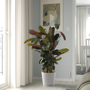 SOJABÖNA Plant pot, white, 24 cm