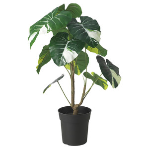 FEJKA Artificial potted plant, in/outdoor Elephant ear, 19 cm
