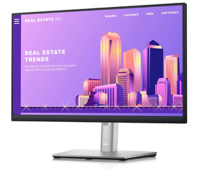 Dell 22" Monitor LED IPS 16:9/1920x1080/DP/VGA/3Y P2222H