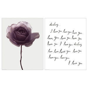 BILD Poster, romantic rose, 40x50 cm