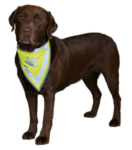 Safety Dog Bandana L-XL 60x43cm