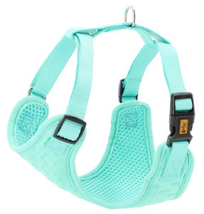 Dingo Dog Harness S, mint