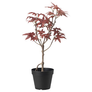 FEJKA Artificial potted plant, in/outdoor maple, 12 cm