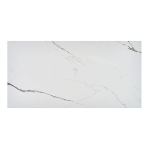 Gres Tile Wall/Floor 60 x 119.5 cm, bianco carrara, 1.434 m2