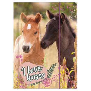 Folder with Elastic Horses A4 1pc
