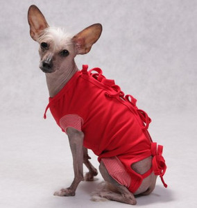 Grande Finale Postoperative Shirt for Dogs Size 6 / 60cm, red