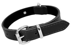 Dingo Leather Dog Collar 1.6x40cm, black