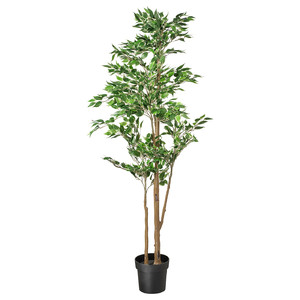 FEJKA Artificial potted plant, in/outdoor Weeping fig, 21 cm