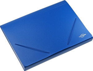Document Box Folder, PP, A4/30mm, 12 dividers, blue