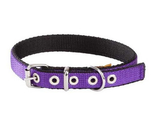 Dingo Dog Collar Energy 2.5cm/65cm, purple