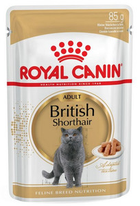 Royal Canin British Shorthair Cat Wet Food Gravy 85g