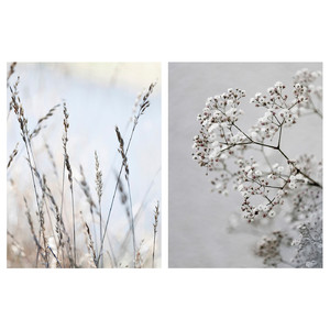 PJÄTTERYD Picture, set of 2, meadow grass, 30x40 cm