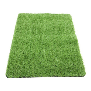 Artificial Turf Grass 2 x 5 m 7 mm (10sqm)