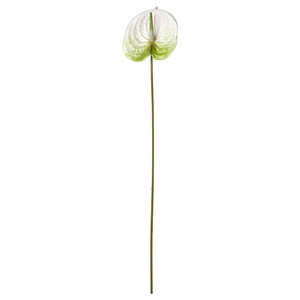 SMYCKA Artificial flower, in/outdoor Flamingo plant/white, 66 cm