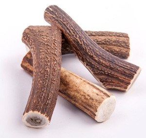4DOGS Natural Dog Chew from Discarded Antlers, XL+ Hard 1pc