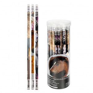 Starpak Pencil with Eraser Horses 48pcs