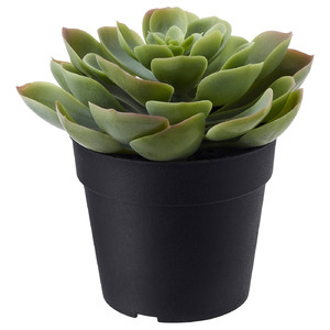 FEJKA Artificial potted plant, in/outdoor Succulent, 9 cm