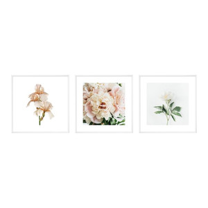 Picture Set Pink Flowers 20 x 20 cm 3-pack