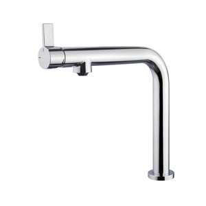 Cooke&Lewis Kitchen Mixer Tap Kishi Spout F, chrome