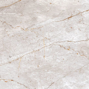 Gres Floor/Wall Tile Tanish Paradyz 59.8 x 59.8 cm, gloss, 1.07 sqm