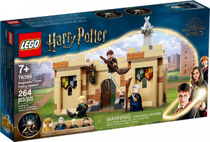 LEGO Harry Potter Hogwarts First Flying Lesson 7+