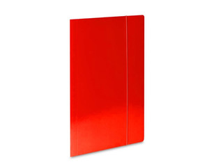 Document Folder with Elastic Band A4 "1" Eco, 1pc, red