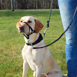 Trixie Top Trainer Dog Training Harness L-XL/4 37cm