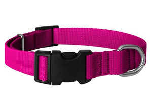 CHABA Dog Collar Adjustable Smooth 25mm/60cm, fuchsia
