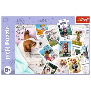 Trefl Children's Puzzle Holiday Photos 300pcs 8+