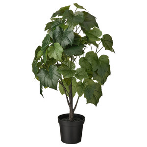 FEJKA Artificial potted plant, in/outdoor Crimson glory vine, 15 cm
