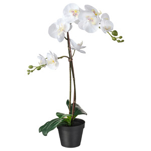 FEJKA Artificial potted plant, Orchid white, 12 cm
