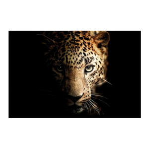 Picture Glasspik Leopard 70x100cm