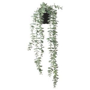 FEJKA Artificial potted plant, in/outdoor hanging, eucalyptus, 9 cm