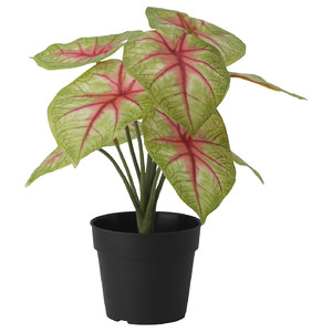 FEJKA Artificial potted plant, in/outdoor dasheen, 9 cm